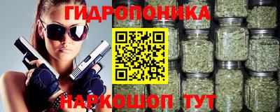 гашиш Кингисепп