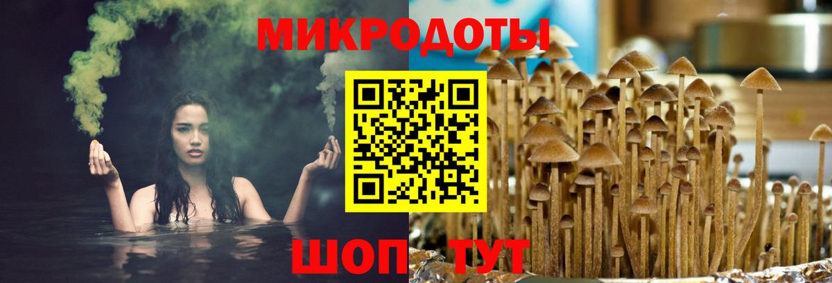 Псилоцибиновые грибы Psilocybine cubensis  Галлюциногенные грибы Cubensis  Вход с VPN  Комсомольск-на-Амуре 